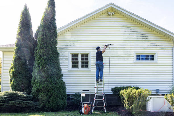 Best Driveway Cleaning and Restoration in Dunlap, IA